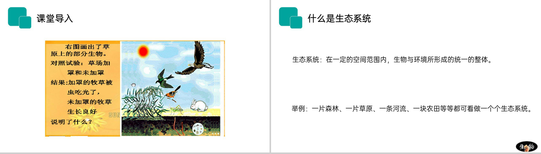 《生物与环境组成生态系统》人教版七年级初一生物上册PPT课件-2