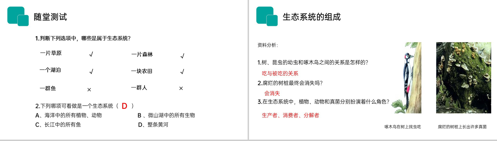 《生物与环境组成生态系统》人教版七年级初一生物上册PPT课件-3