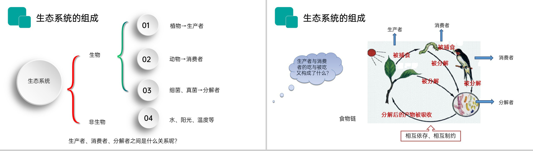 《生物与环境组成生态系统》人教版七年级初一生物上册PPT课件-4