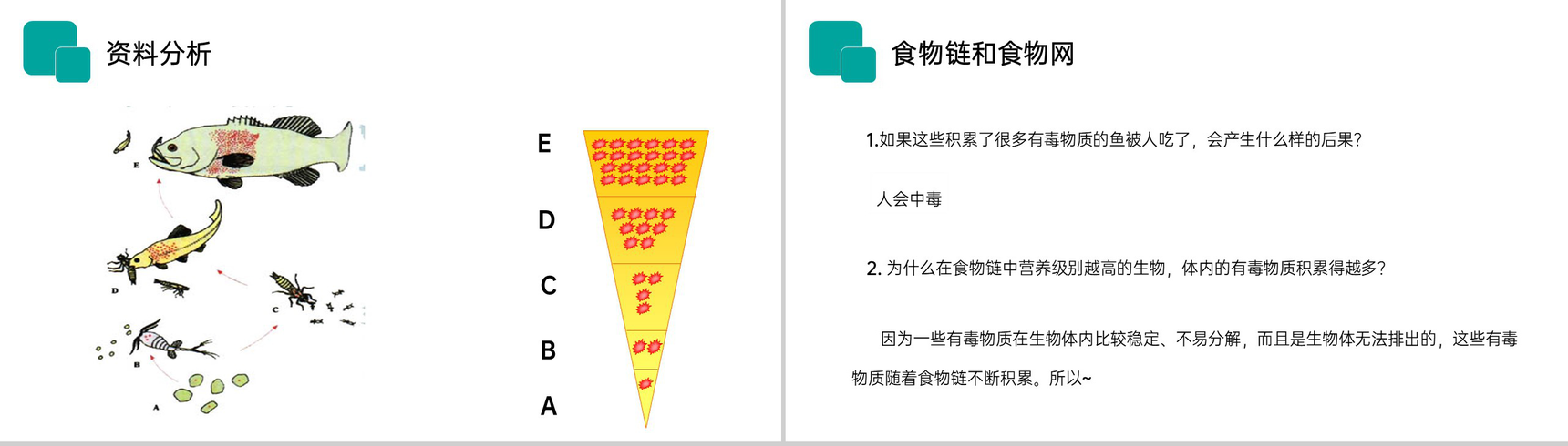 《生物与环境组成生态系统》人教版七年级初一生物上册PPT课件-7