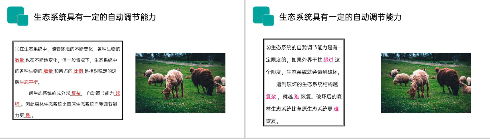 《生物与环境组成生态系统》人教版七年级初一生物上册PPT课件-9