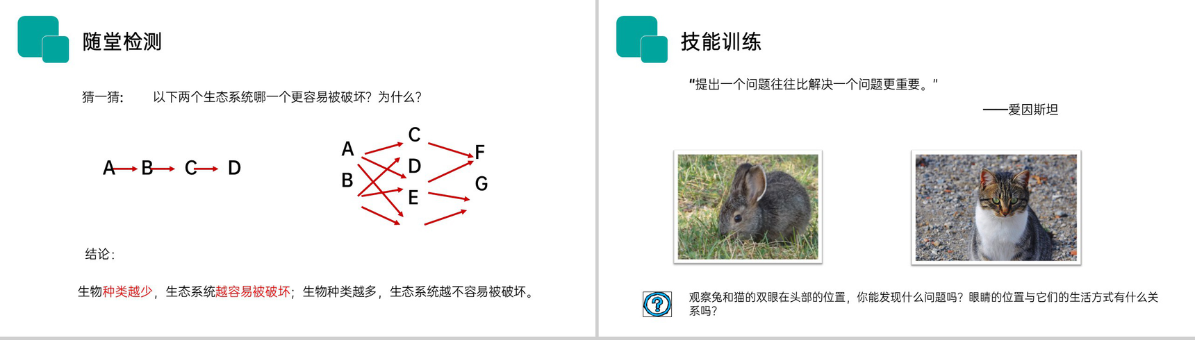 《生物与环境组成生态系统》人教版七年级初一生物上册PPT课件-10