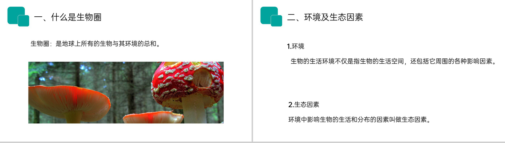 《生物与环境的关系》人教版七年级初一生物上册PPT课件-3