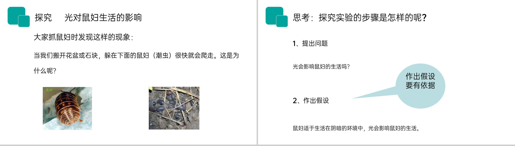 《生物与环境的关系》人教版七年级初一生物上册PPT课件-6