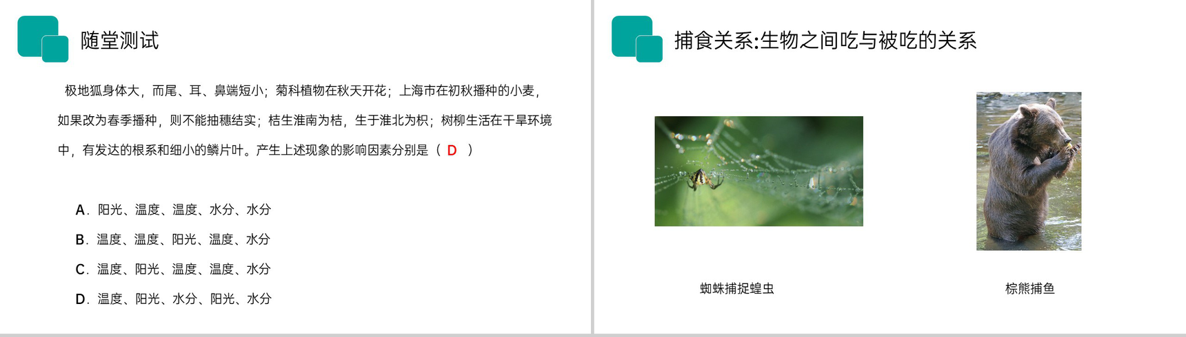 《生物与环境的关系》人教版七年级初一生物上册PPT课件-11