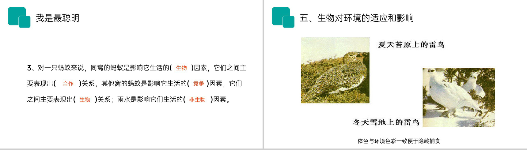 《生物与环境的关系》人教版七年级初一生物上册PPT课件-15