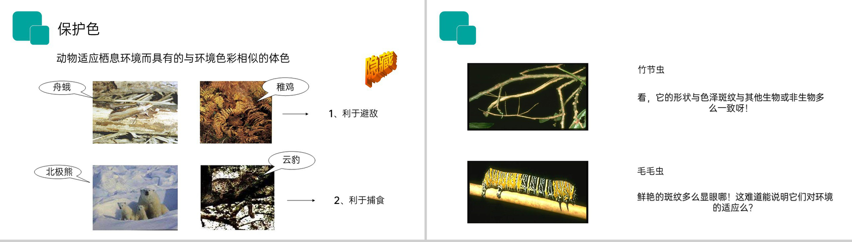 《生物与环境的关系》人教版七年级初一生物上册PPT课件-16