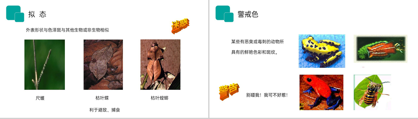《生物与环境的关系》人教版七年级初一生物上册PPT课件-17