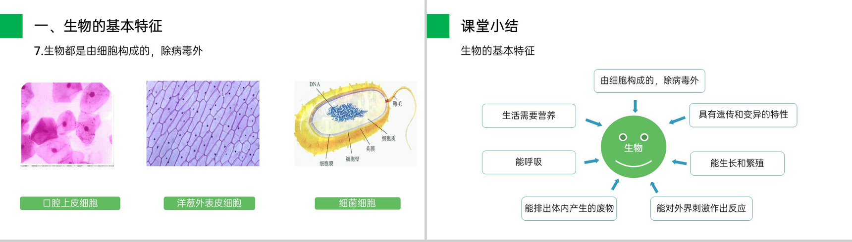 《生物的基本特征》人教版七年级初一生物上册PPT课件-6