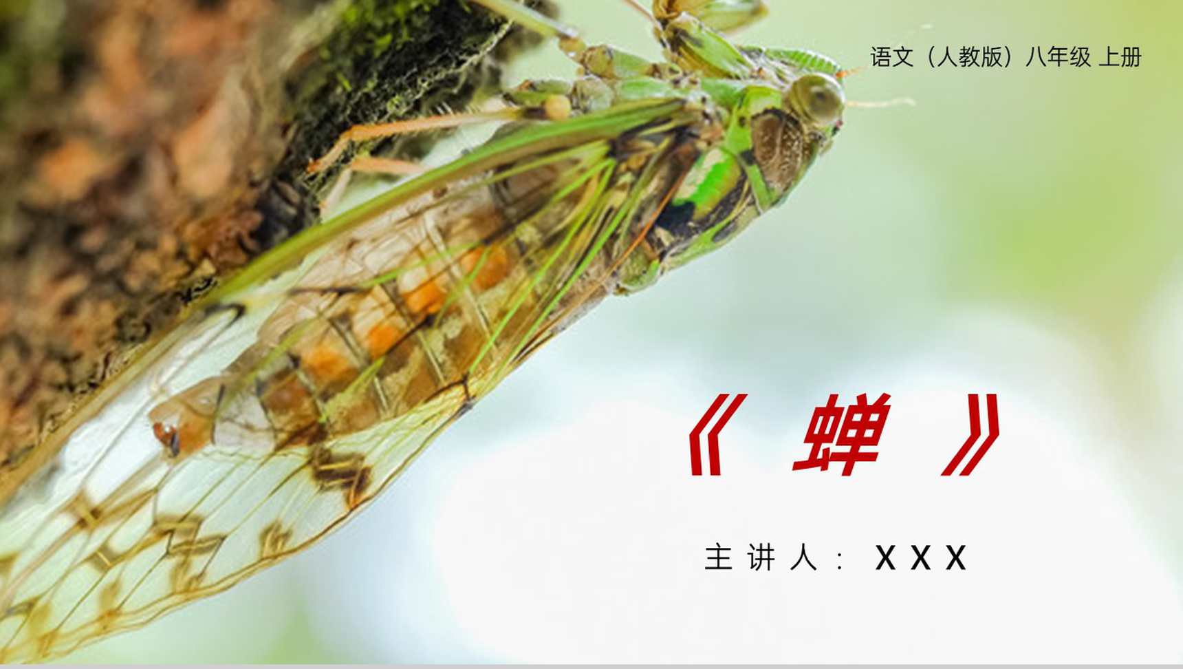 《蝉》人教版八年级上册语文PPT课件-1