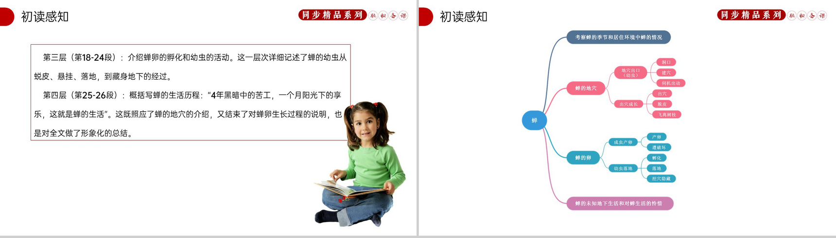《蝉》人教版八年级上册语文PPT课件-6