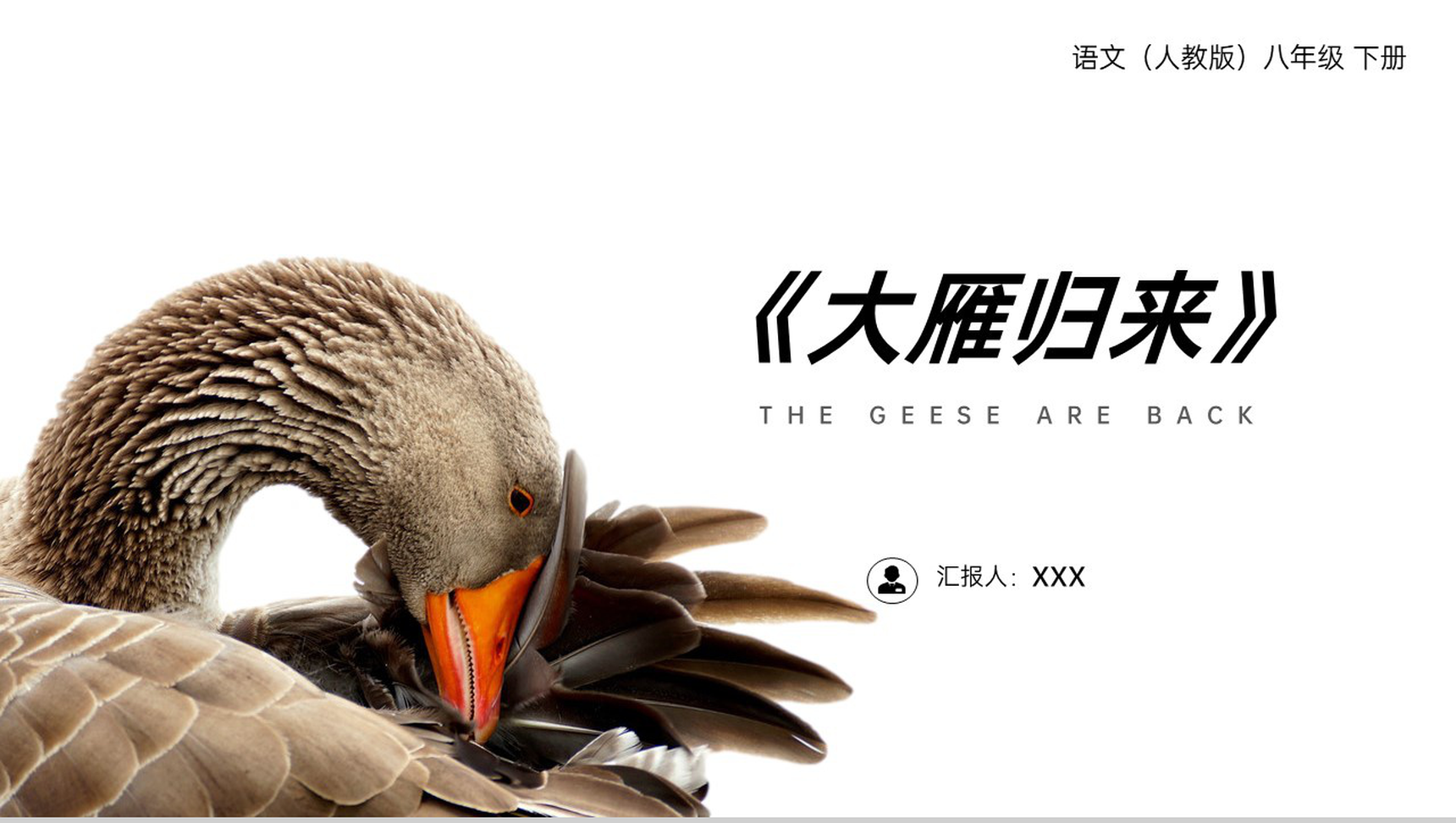 《大雁归来》人教版八年级下册语文PPT课件-1