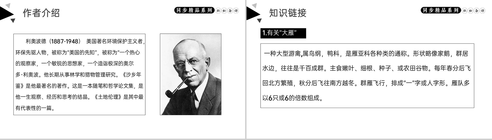 《大雁归来》人教版八年级下册语文PPT课件-2