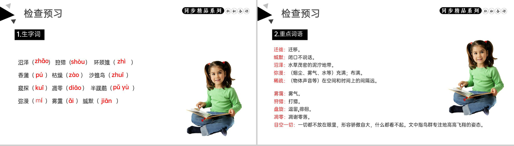 《大雁归来》人教版八年级下册语文PPT课件-4