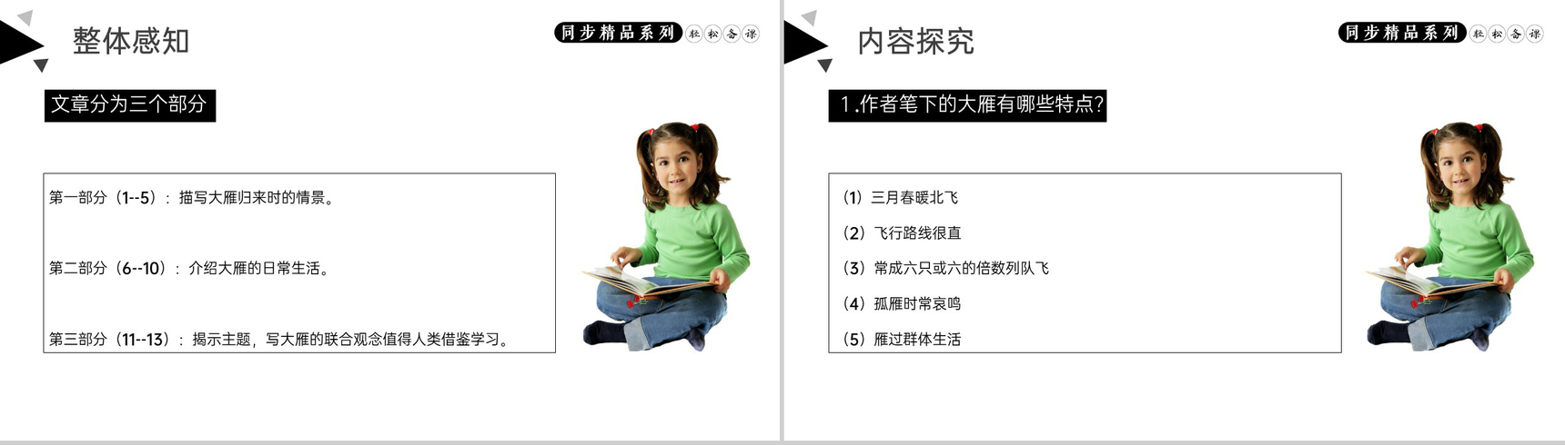 《大雁归来》人教版八年级下册语文PPT课件-5