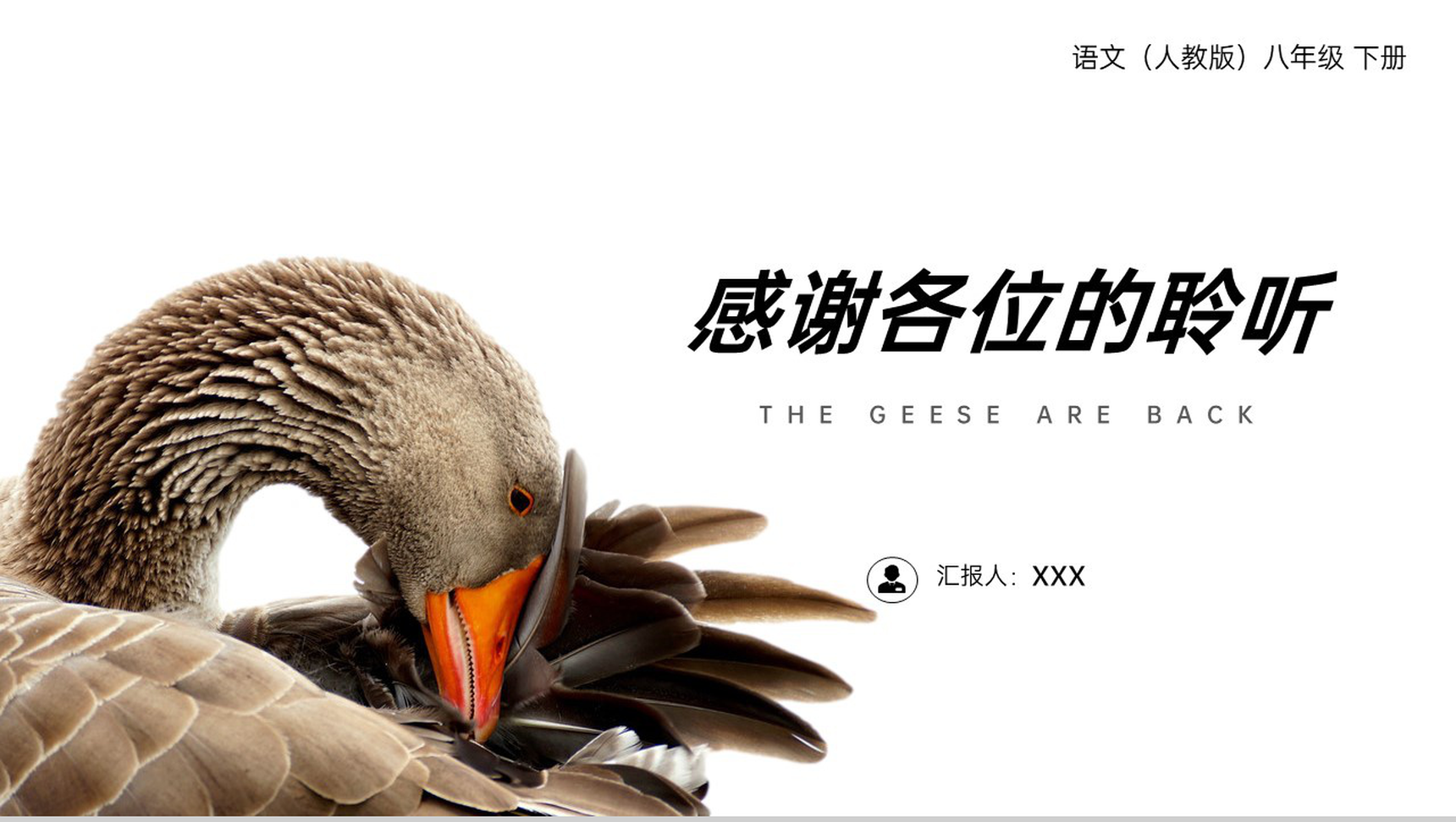 《大雁归来》人教版八年级下册语文PPT课件-9