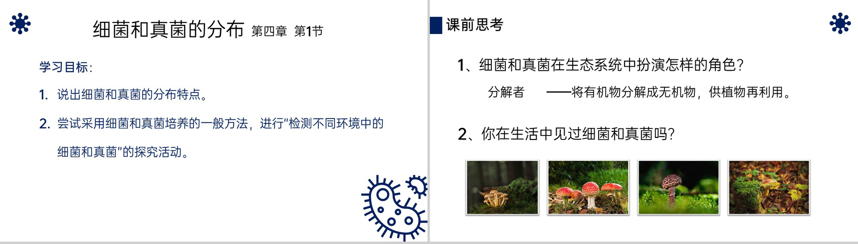 《细菌和真菌的分布》八年级初二上册PPT课件(第5.4.1课时)-2