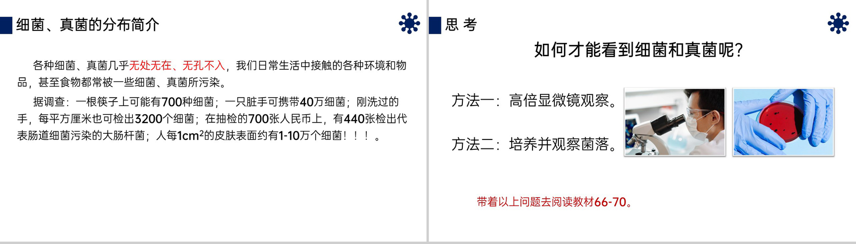 《细菌和真菌的分布》八年级初二上册PPT课件(第5.4.1课时)-3