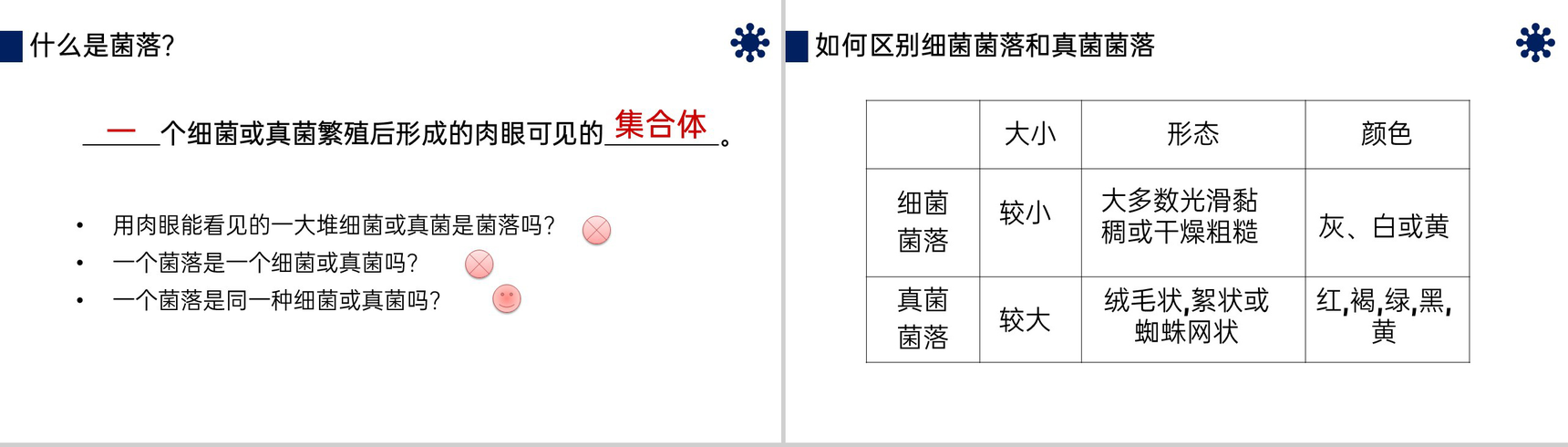 《细菌和真菌的分布》八年级初二上册PPT课件(第5.4.1课时)-4