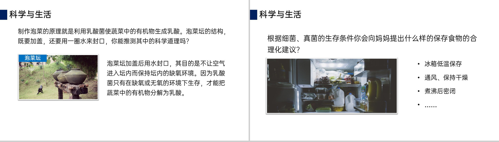 《细菌和真菌的分布》八年级初二上册PPT课件(第5.4.1课时)-10