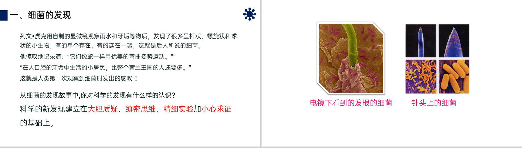 《细菌》八年级初二上册PPT课件(第5.4.2课时)-4