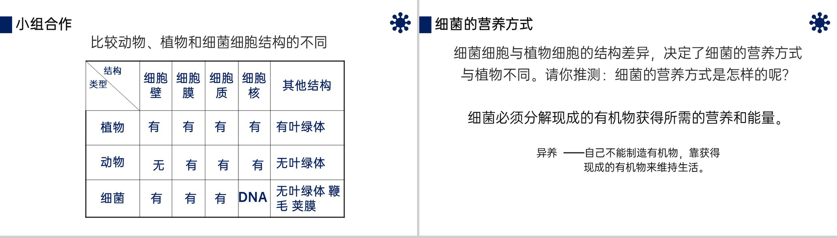 《细菌》八年级初二上册PPT课件(第5.4.2课时)-6