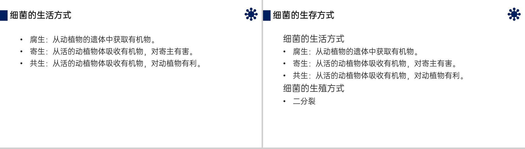《细菌》八年级初二上册PPT课件(第5.4.2课时)-7
