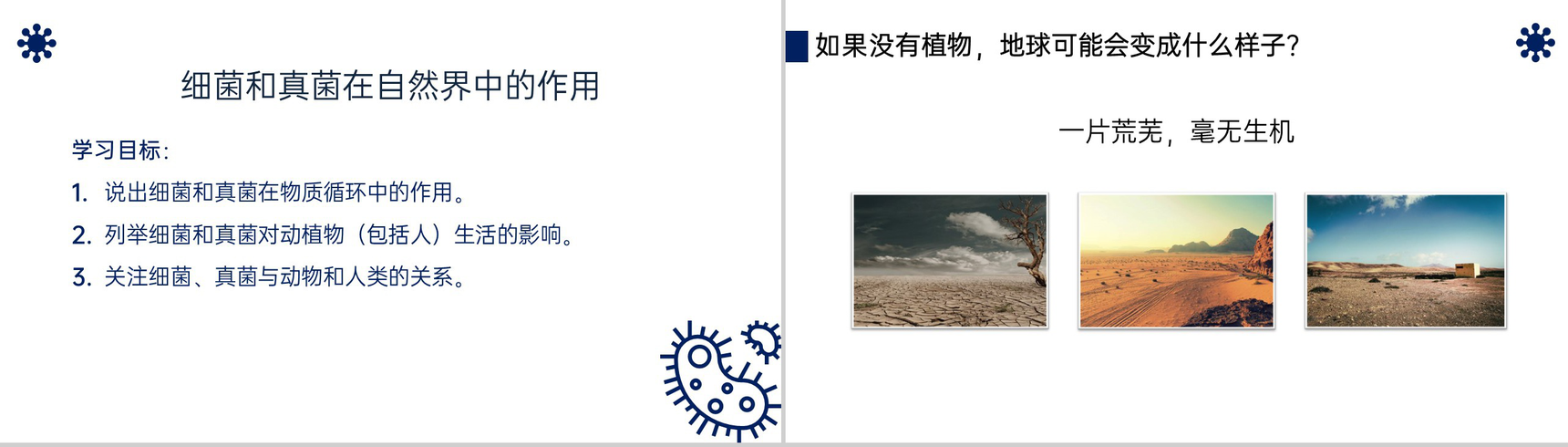 《细菌和真菌在自然界中的作用》八年级初二上册PPT课件(第5.4.4课时)-2