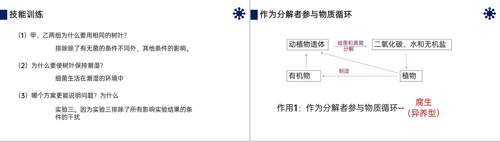 《细菌和真菌在自然界中的作用》八年级初二上册PPT课件(第5.4.4课时)-5