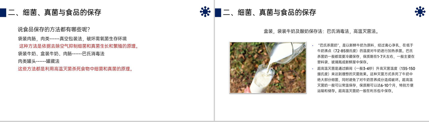 《人类对细菌和真菌的利用》八年级初二上册PPT课件(第5.4.5课时)-5