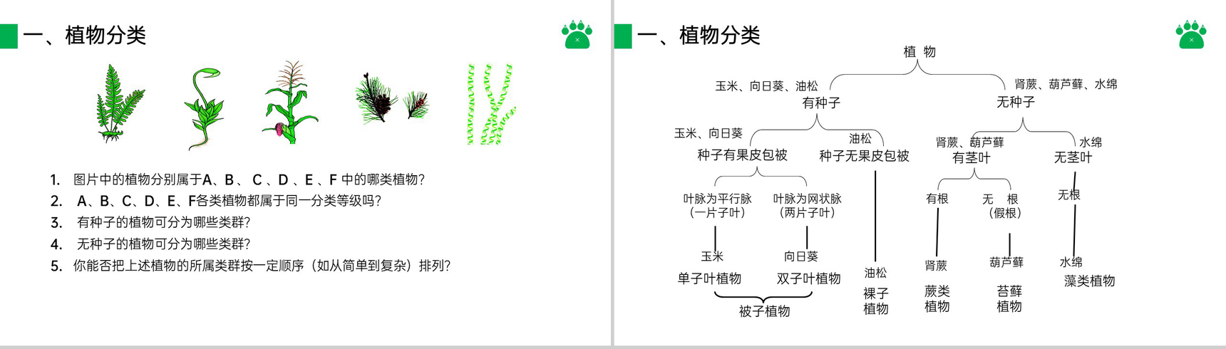 《尝试对生物进行分类》八年级初二上册PPT课件(第6.1.1课时)-5