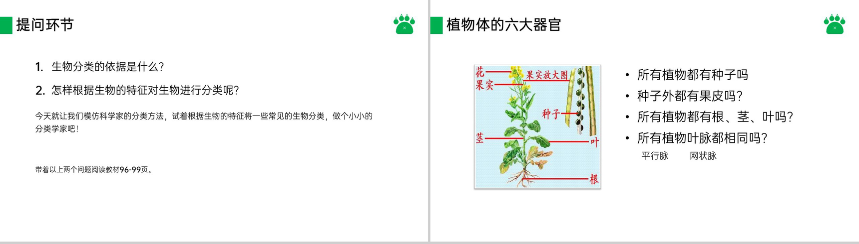 《尝试对生物进行分类》八年级初二上册PPT课件(第6.1.1课时)-4