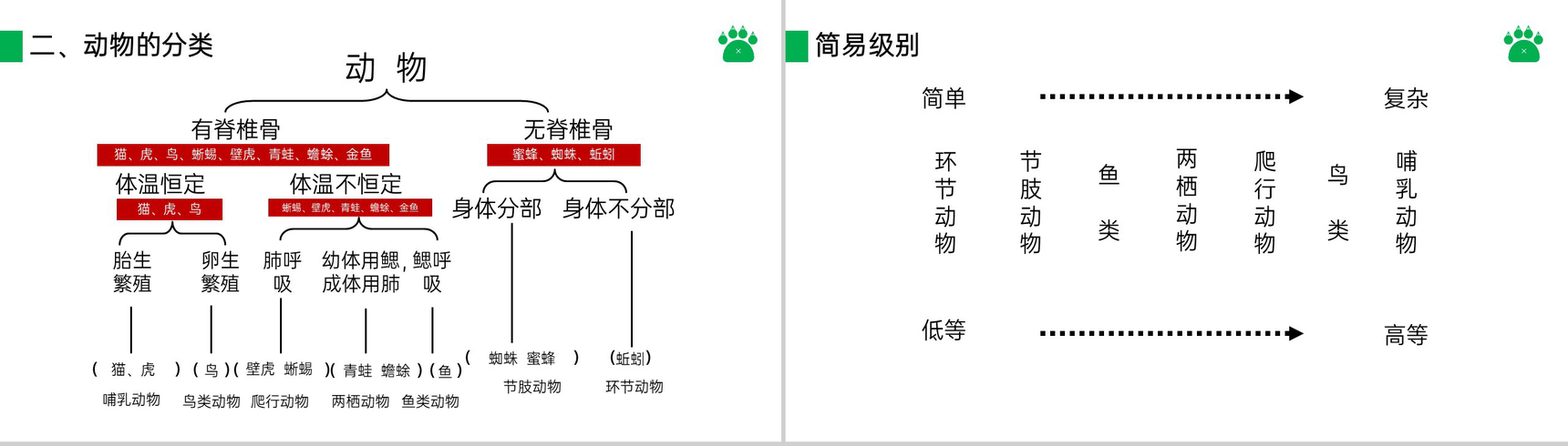 《尝试对生物进行分类》八年级初二上册PPT课件(第6.1.1课时)-7