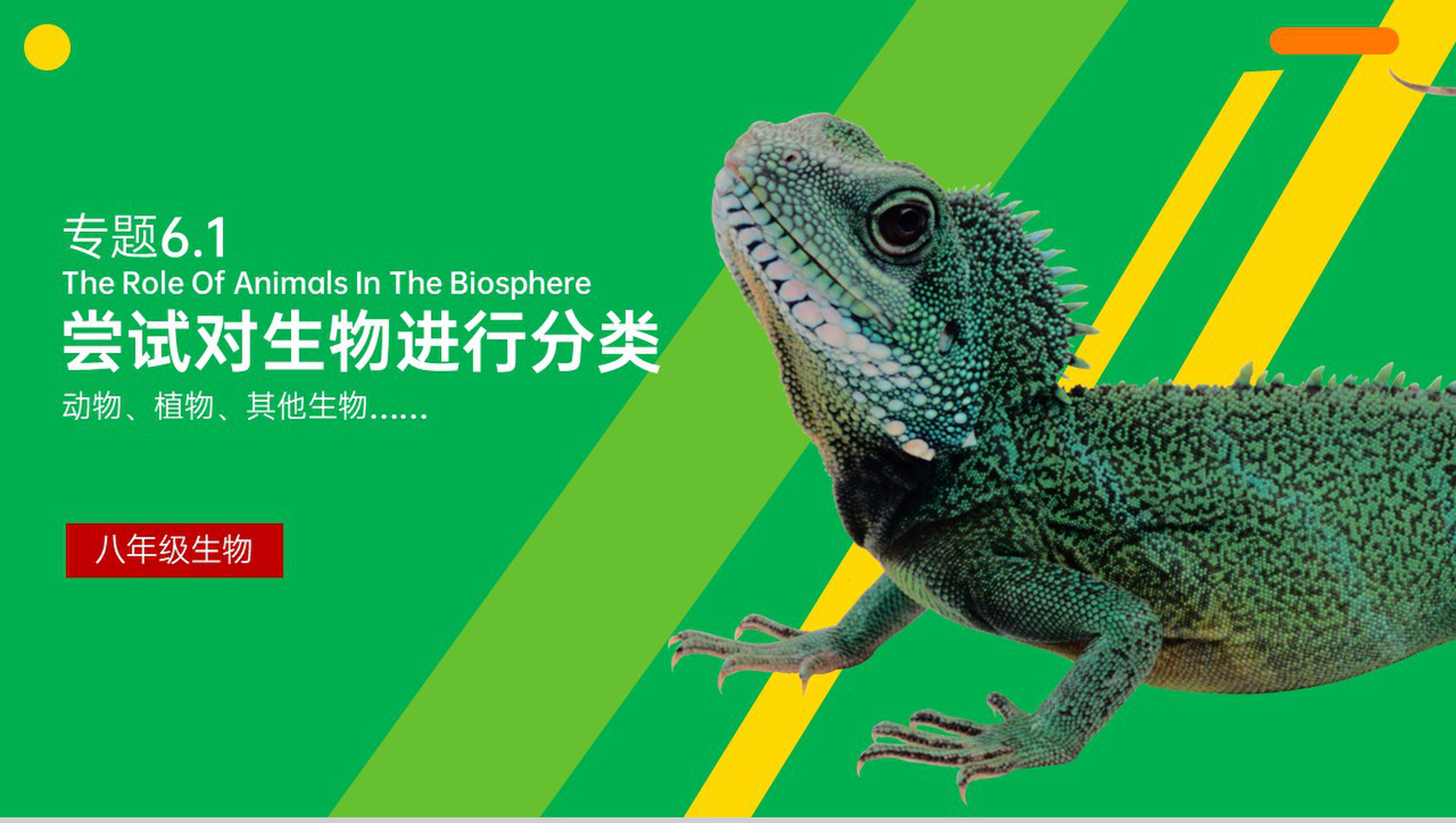 《尝试对生物进行分类》八年级初二上册PPT课件(第6.1.1课时)-10