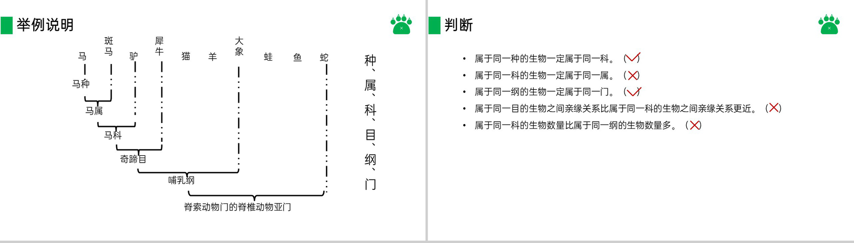 《从种到界》八年级初二上册PPT课件(第6.1.2课时)-8