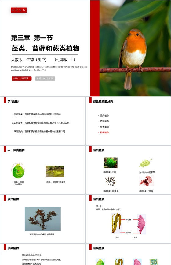 《藻类、苔藓和蕨类植物》人教版七年级初一