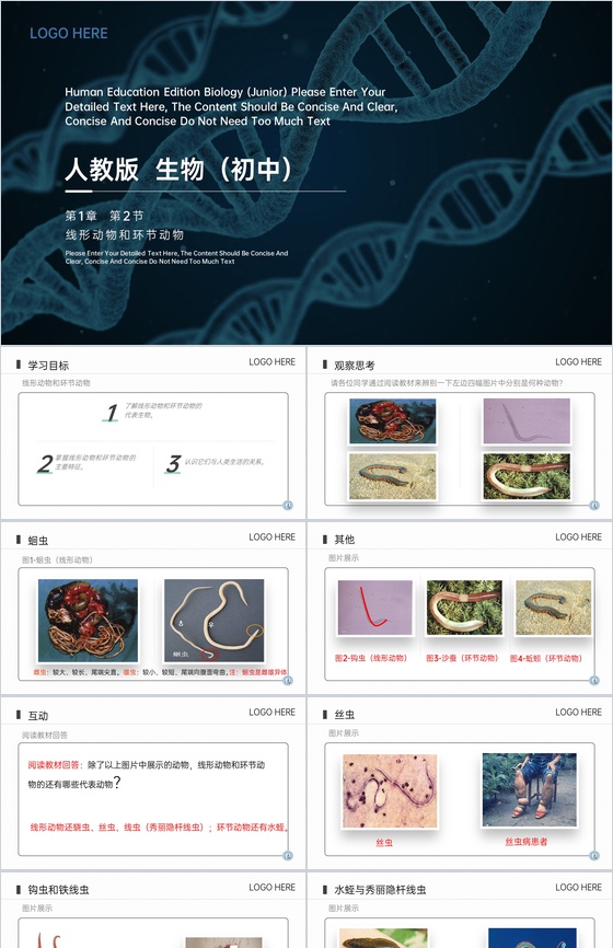 《线形动物和环节动物》八年级初二上册PP