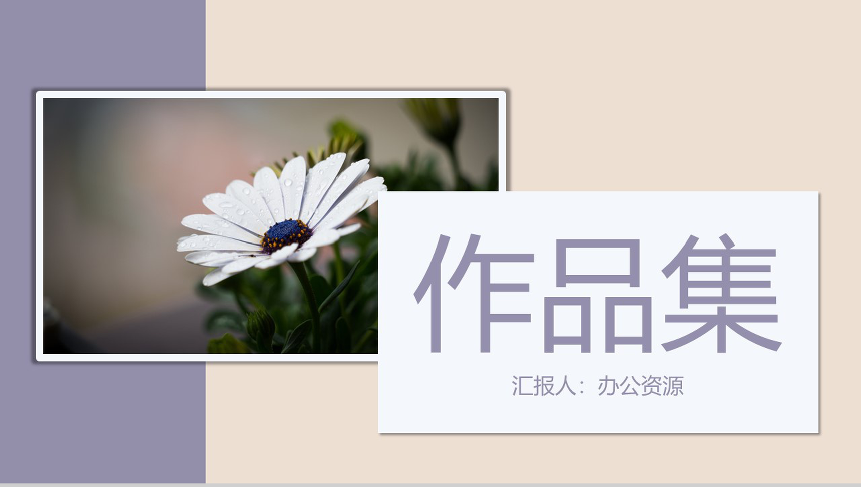 浅紫色清新淡雅设计作品集展示PPT模板-1