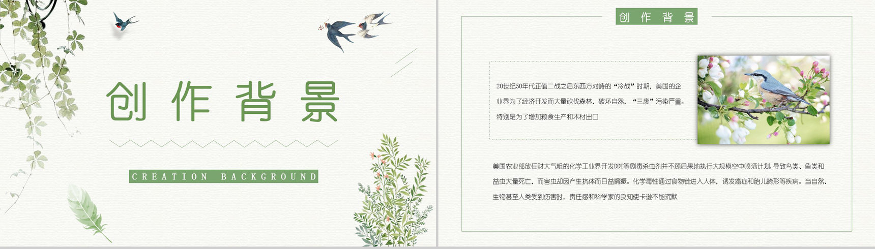 青少年必读图书之蕾切尔卡逊《寂静的春天》读书笔记整理阅读心得体会交流PPT模板-2