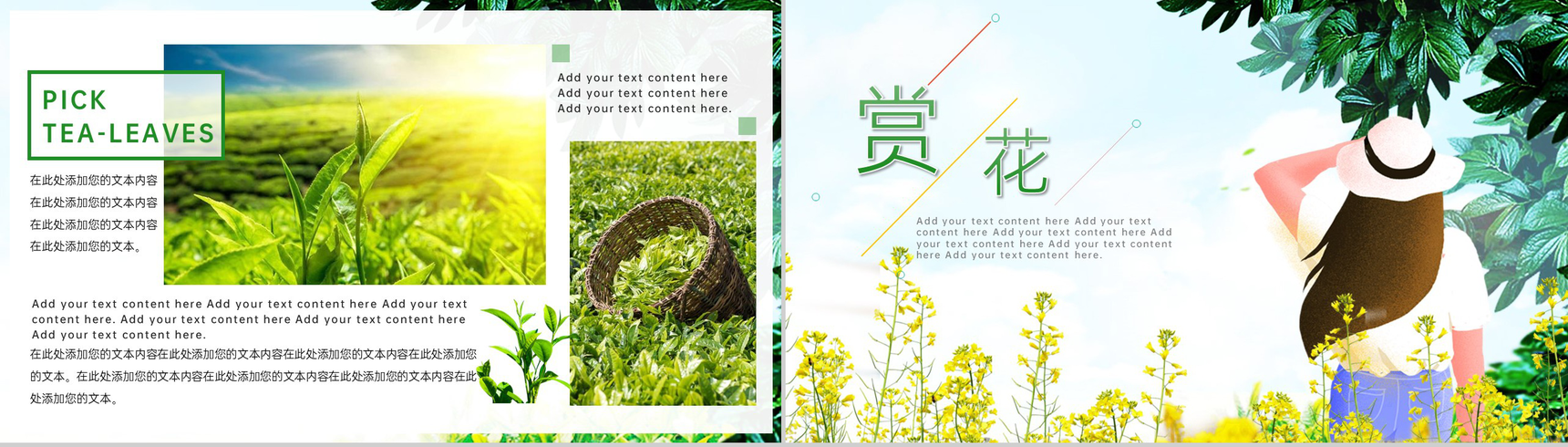 绿色清新风春暖花开采茶赏花春游相册PPT模板-4