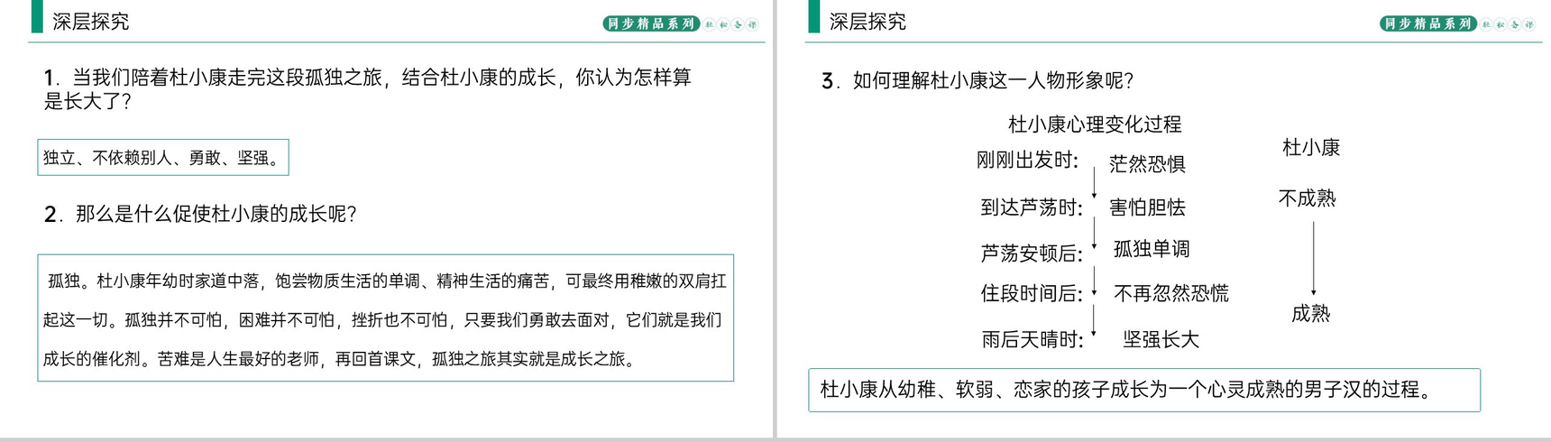 《孤独之旅》人教版九年级上册语文PPT课件-6