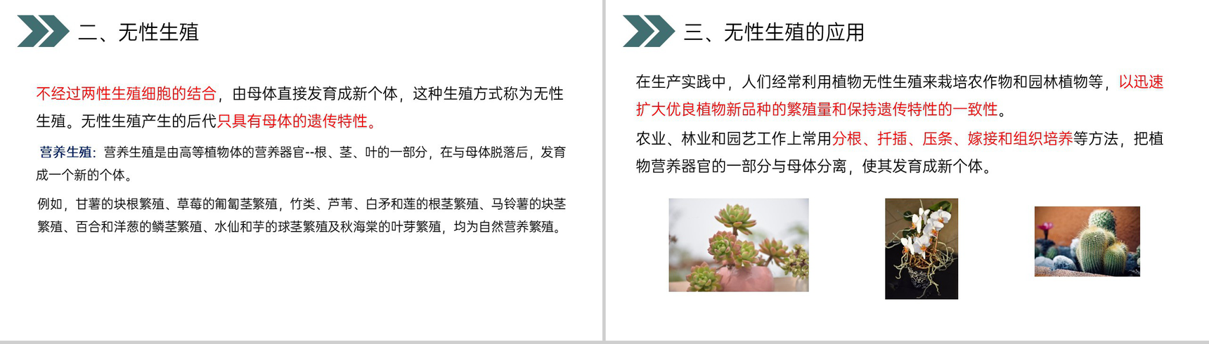 《生物的生殖和发育(植物的生殖)》人教版初中生物八年级初二下册PPT课件-7