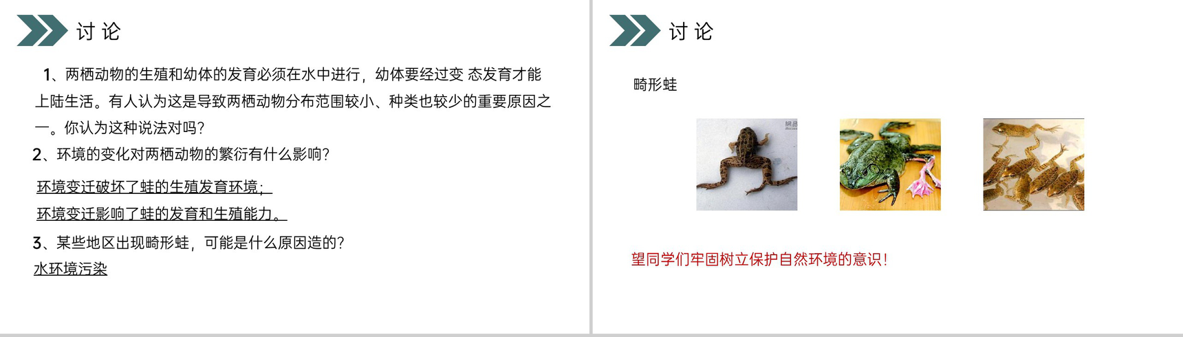 《两栖动物的生殖和发育》人教版初中生物八年级初二下册PPT课件-14