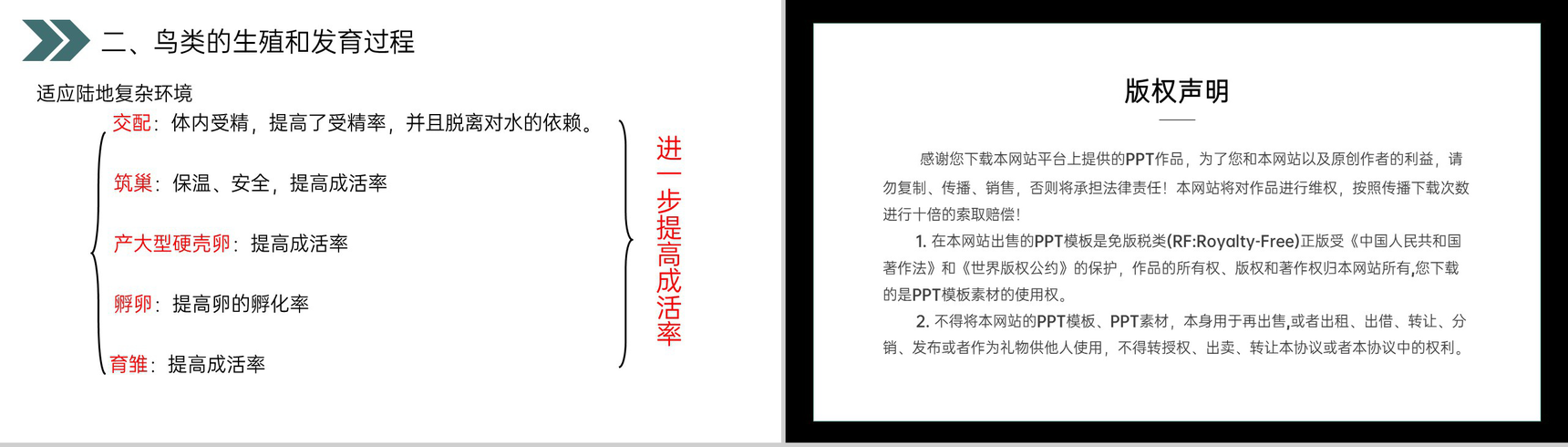 《鸟的生殖和发育》人教版初中生物八年级初二下册PPT课件-16