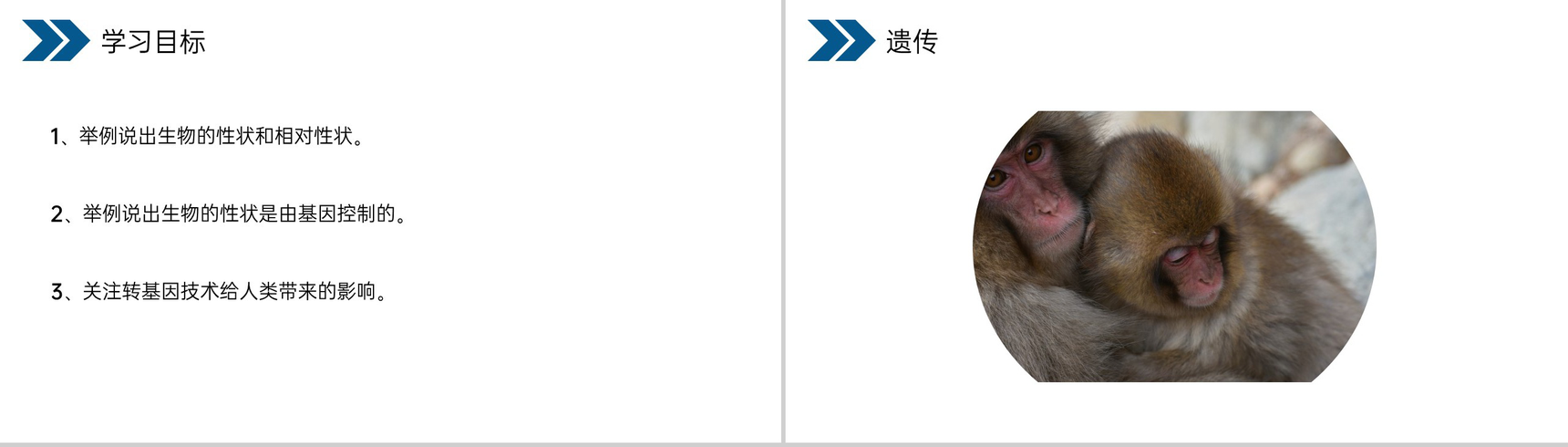 《生物的遗传和变异(基因控制生物的性状)》人教版初中生物八年级初二下册PPT课件-2