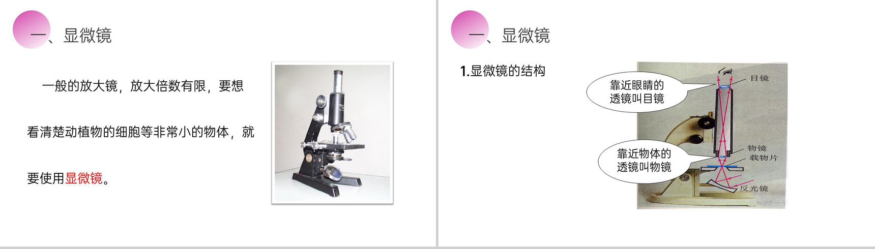《显微镜和望远镜》人教版八年级初二物理上册PPT课件-3