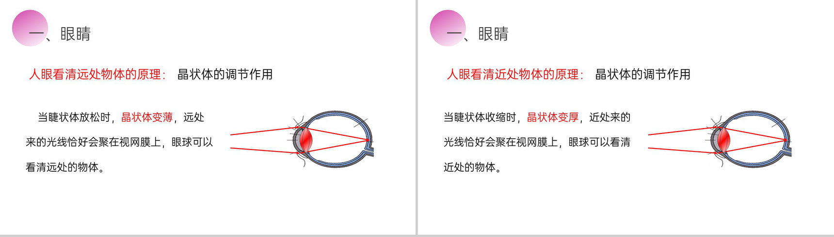 《眼睛和眼镜》人教版八年级初二物理上册PPT课件-4