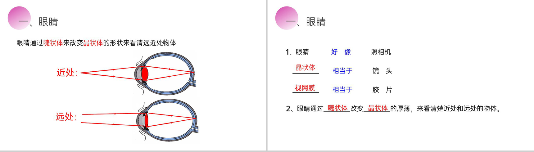 《眼睛和眼镜》人教版八年级初二物理上册PPT课件-5