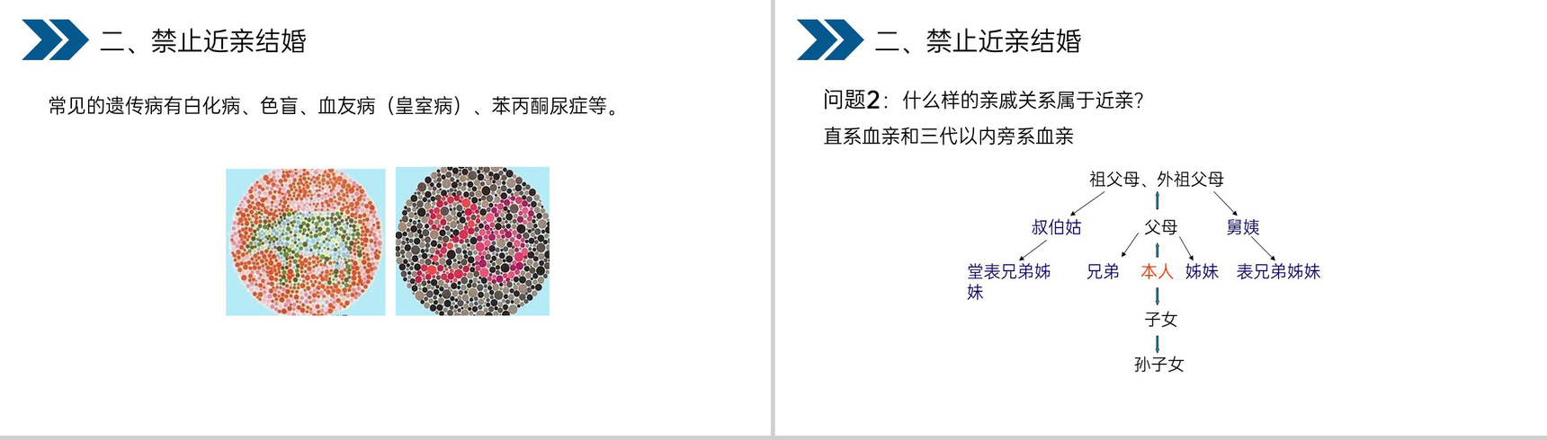 《生物的遗传和变异(基因的显性和隐性)》人教版初中生物八年级初二下册PPT课件-16