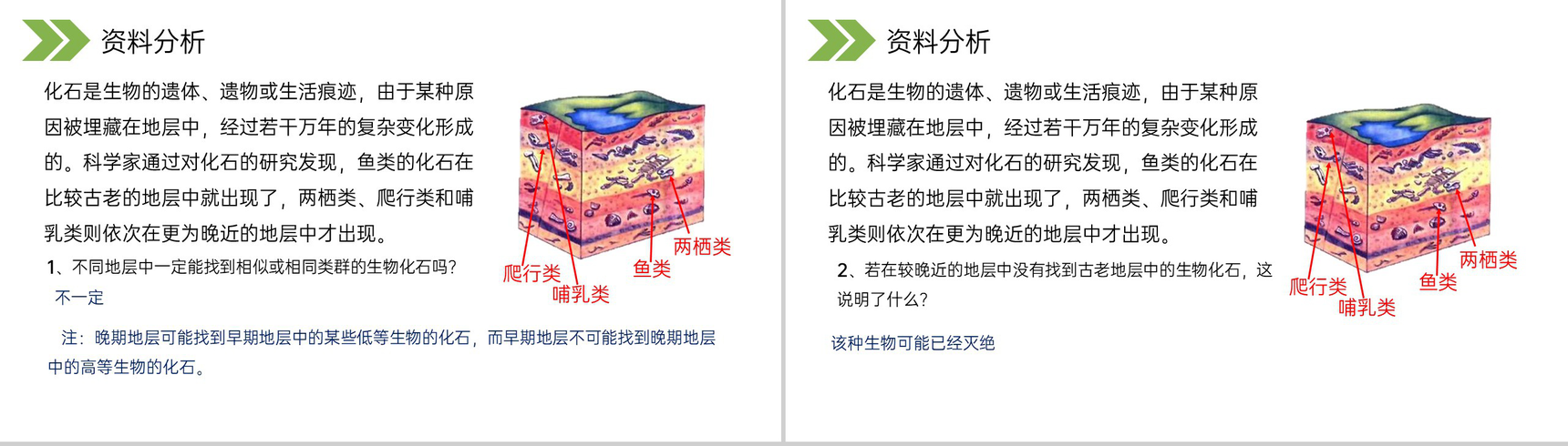 《生物进化的历程》人教版初中生物八年级初二下册PPT课件-4